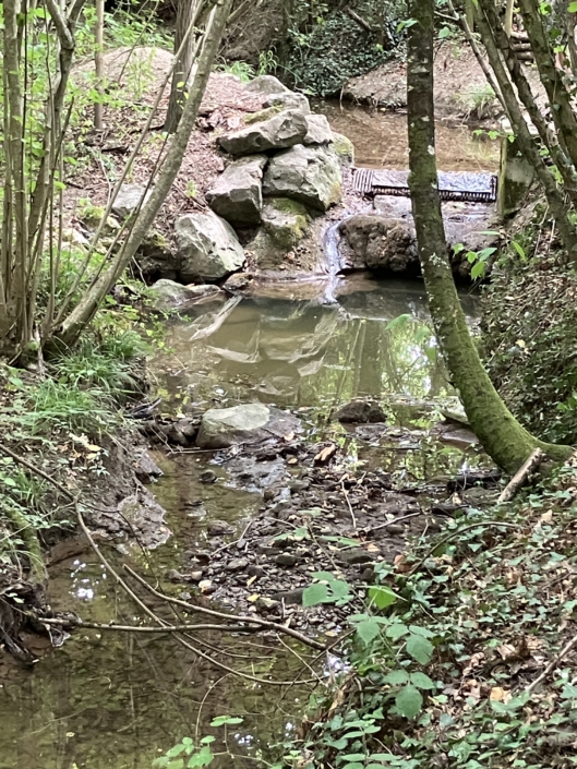 Le Flon presque à sec et la prise d’eau des étangs, visible au-dessus de la chute, n’est pratiquement plus alimentée.